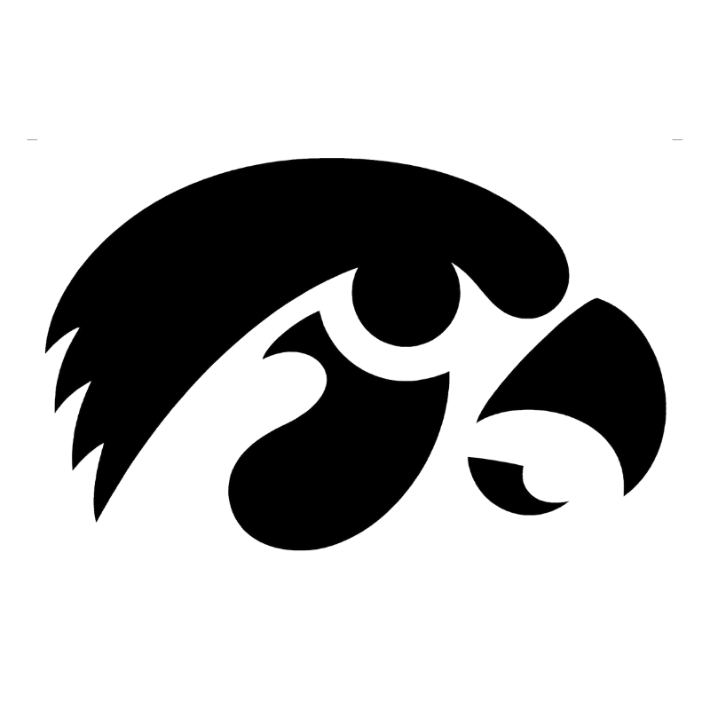  Hawk Logo